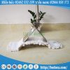Cây lau nhà 45cm nùi cotton trắng